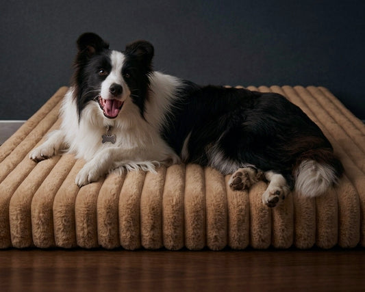 Chicute Waterproof Orthopedic For XL Dogs