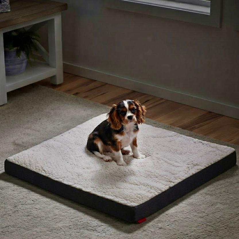 Brindle Orthopedic Memory Foam Pet Bed – Washable Cover for Senior Dogs & Cats